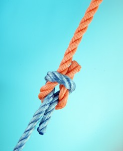 knot-reef-blue-backdrop-orange-and-blue-nylon-rope-